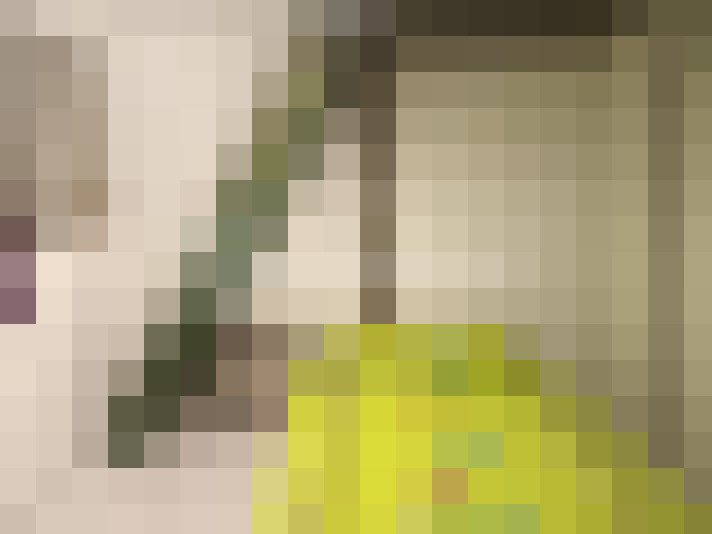  / #14