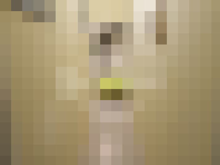  / #13