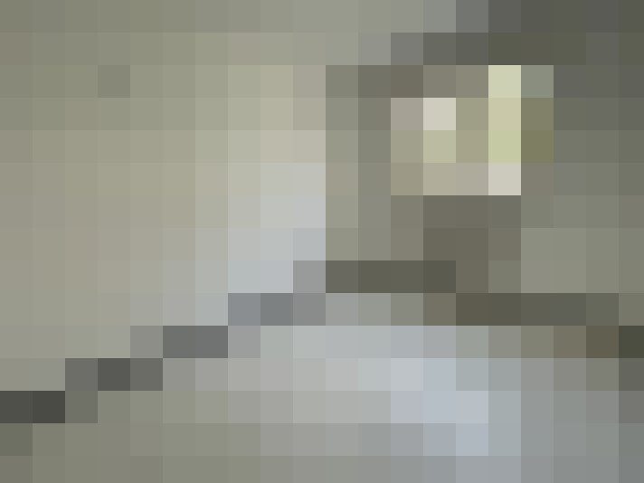 / #8