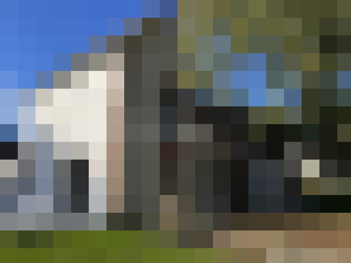  / #15