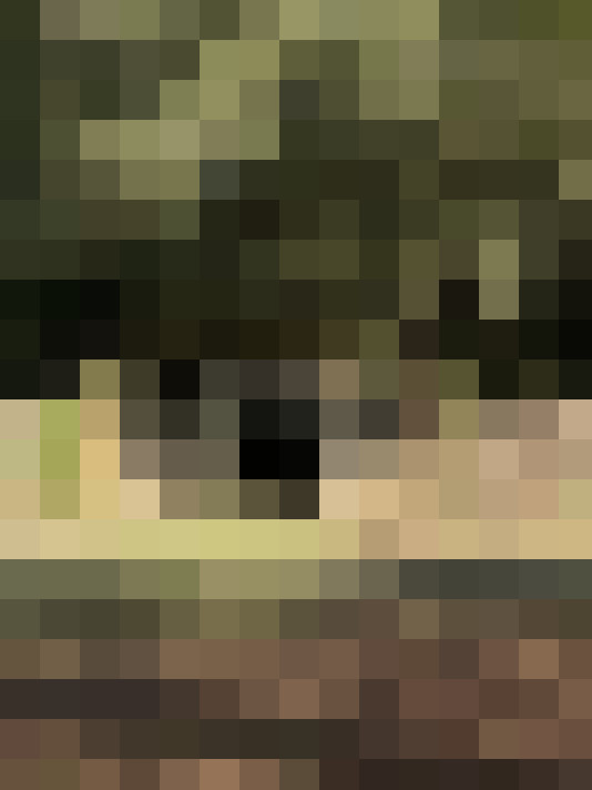  / #16