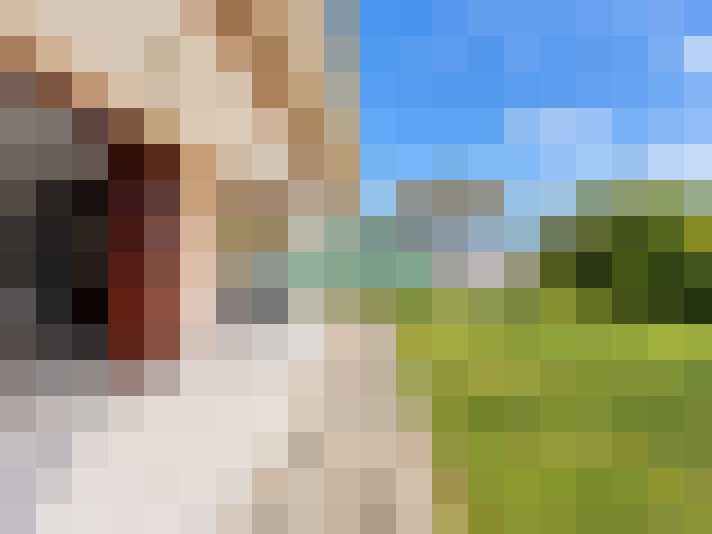  / #13