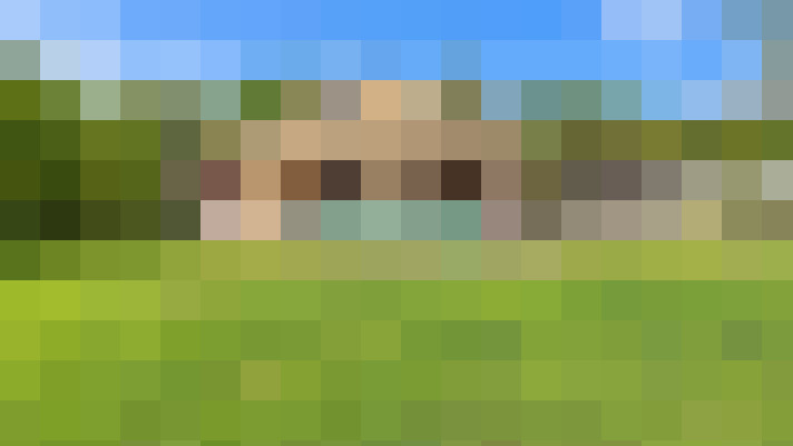  / #14