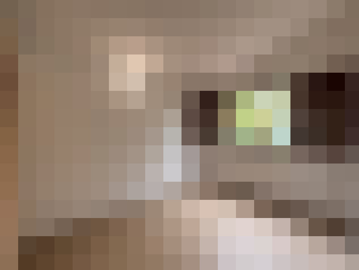 / #8