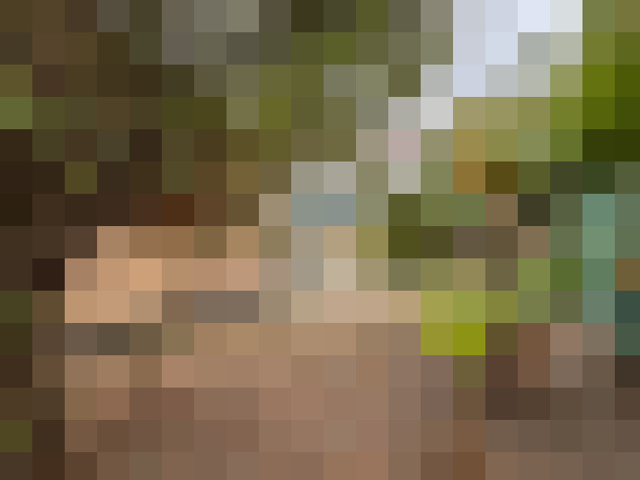  / #16