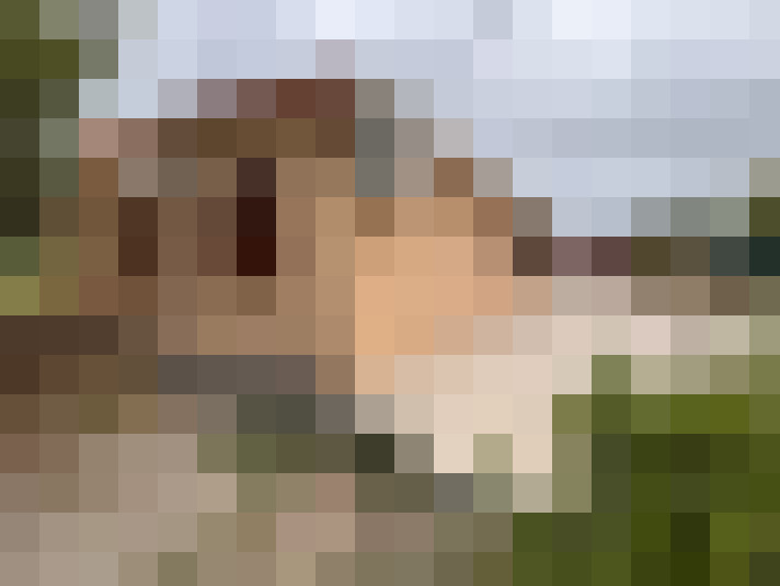  / #17