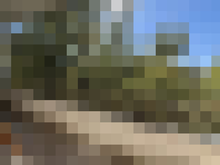  / #7