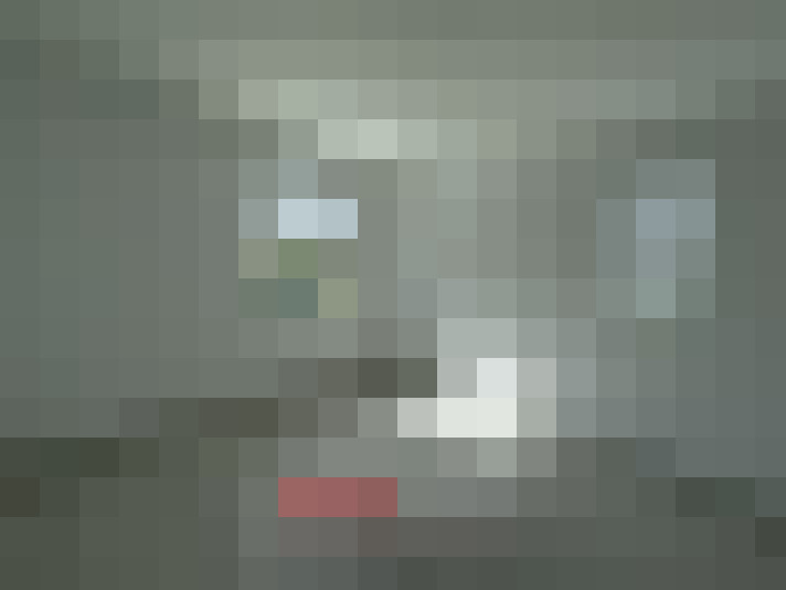  / #11