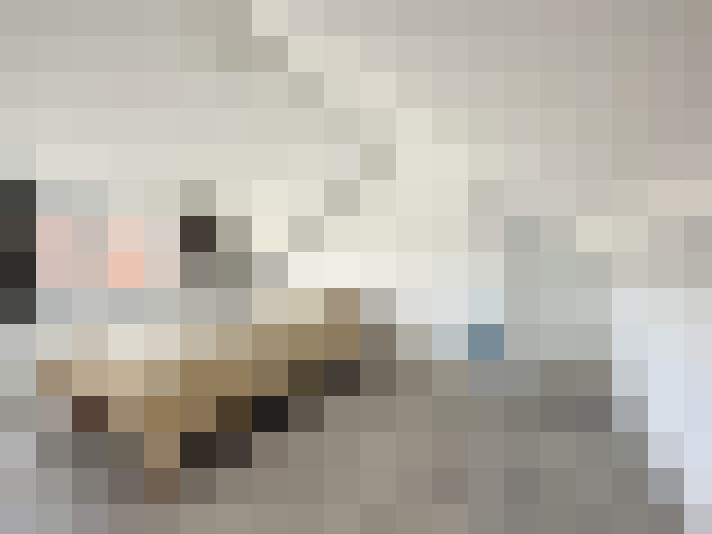  / #8