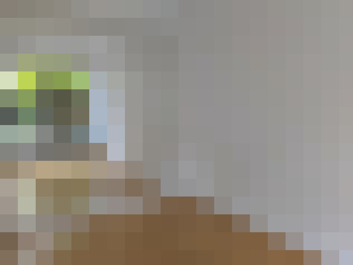  / #8