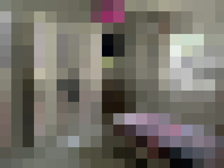 / #21