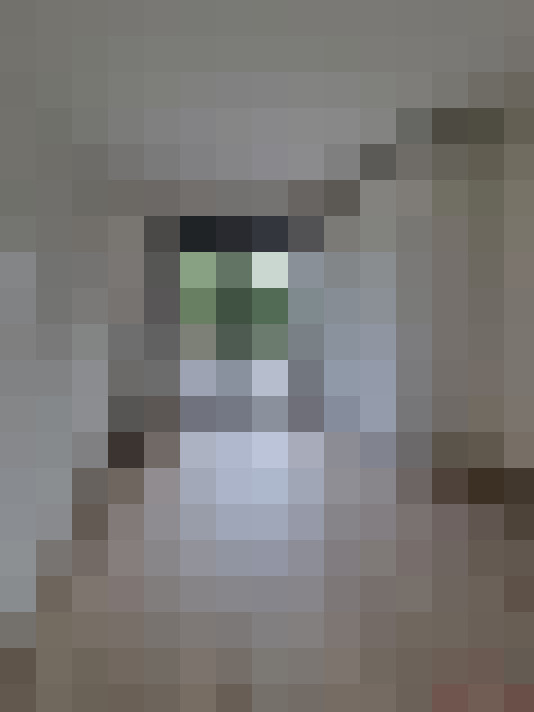  / #17