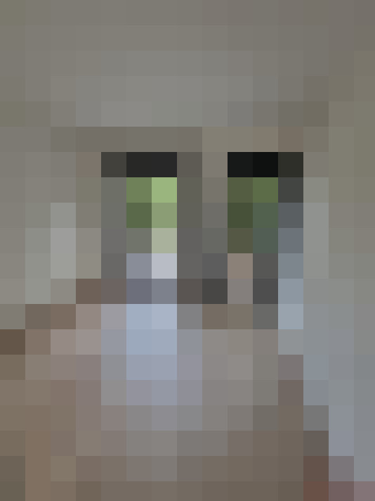  / #12