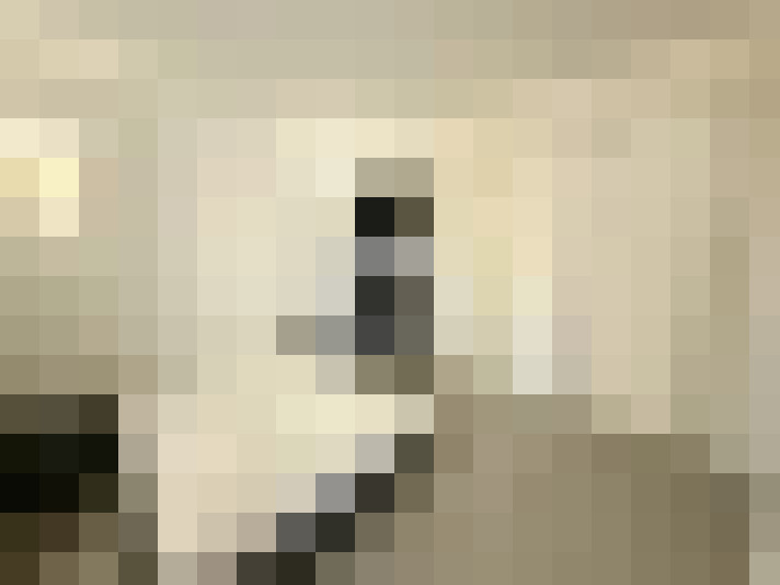  / #11
