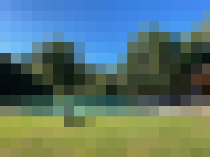  / #13