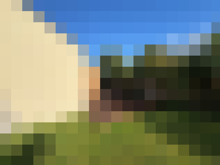  / #7