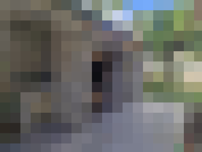  / #12