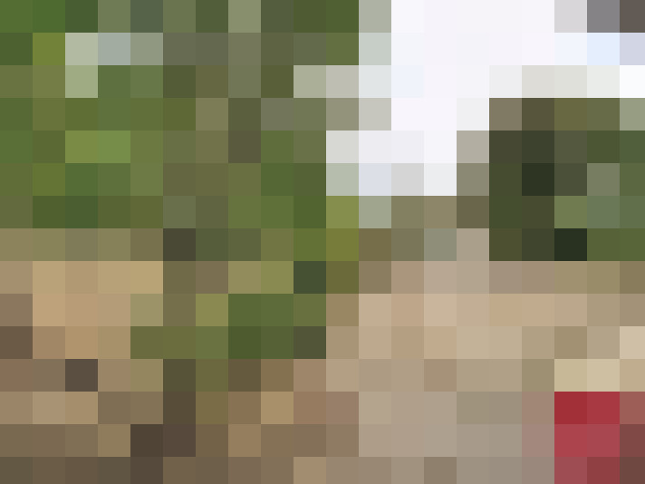  / #16