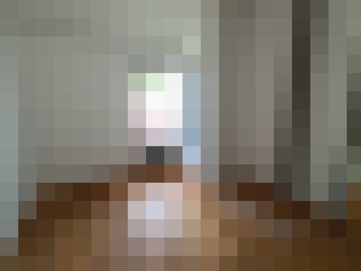  / #8