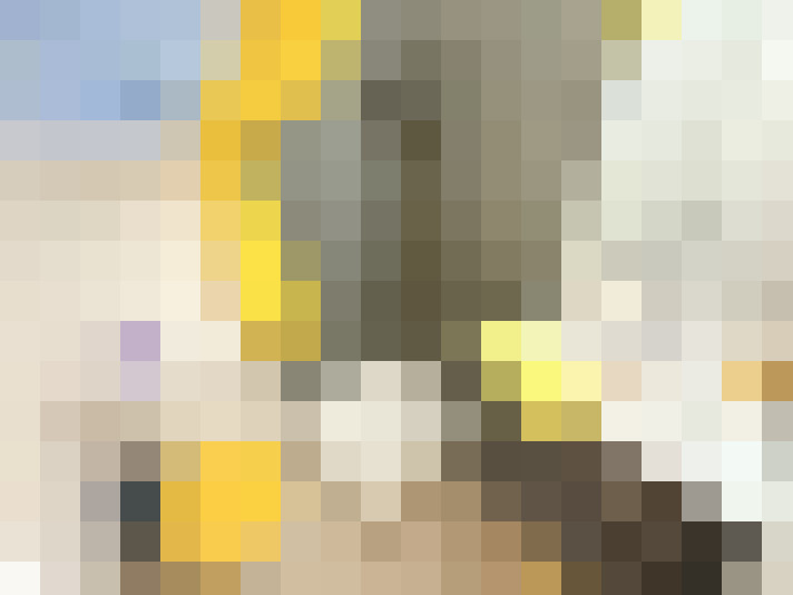  / #14