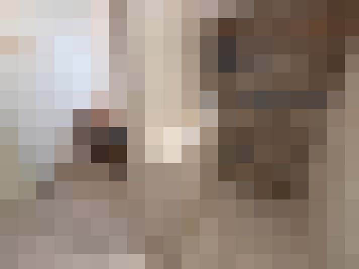  / #13