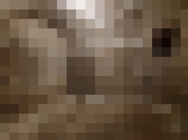  / #11
