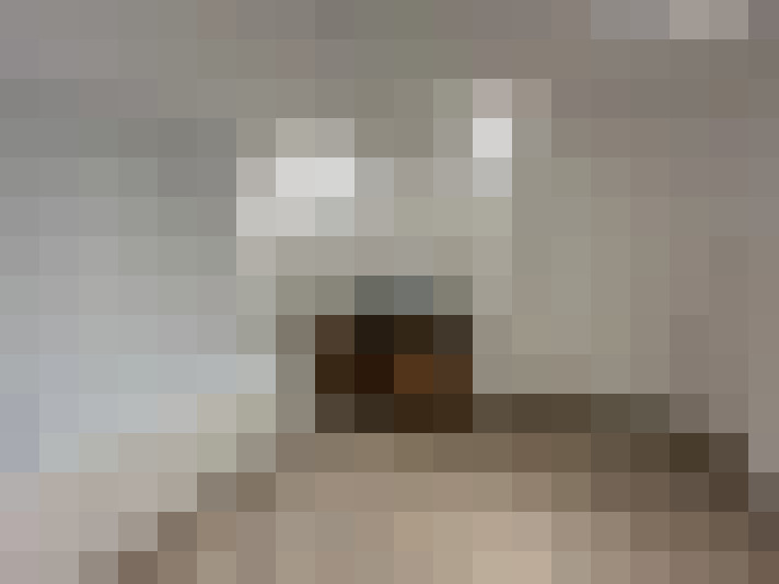  / #11