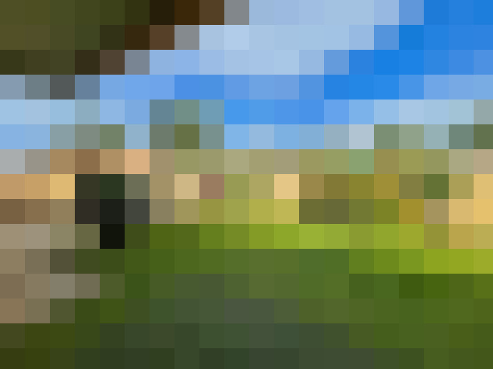  / #11