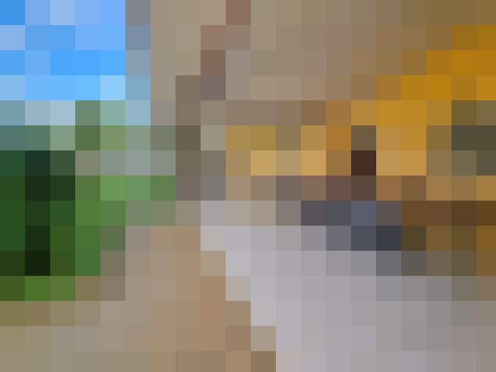  / #9