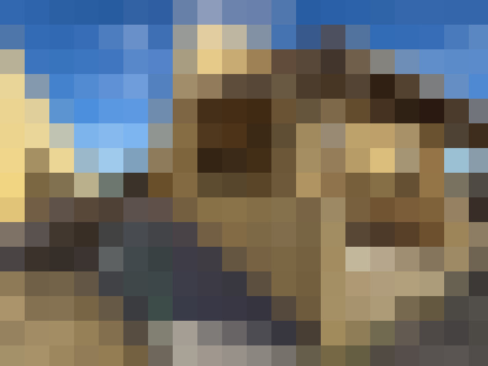  / #14