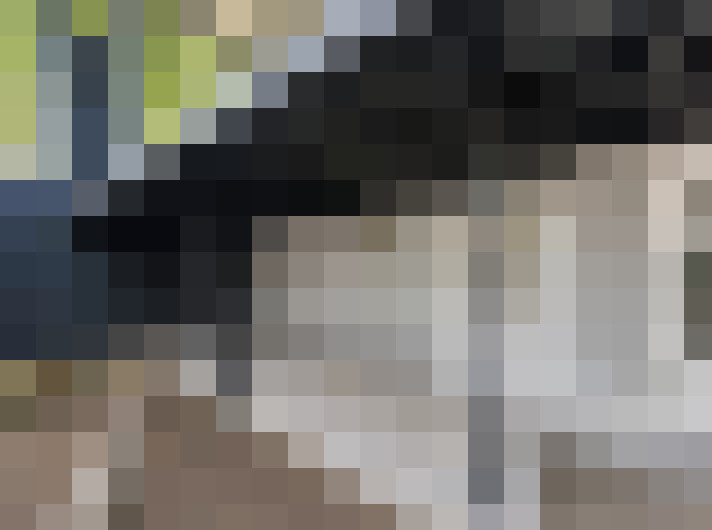  / #15
