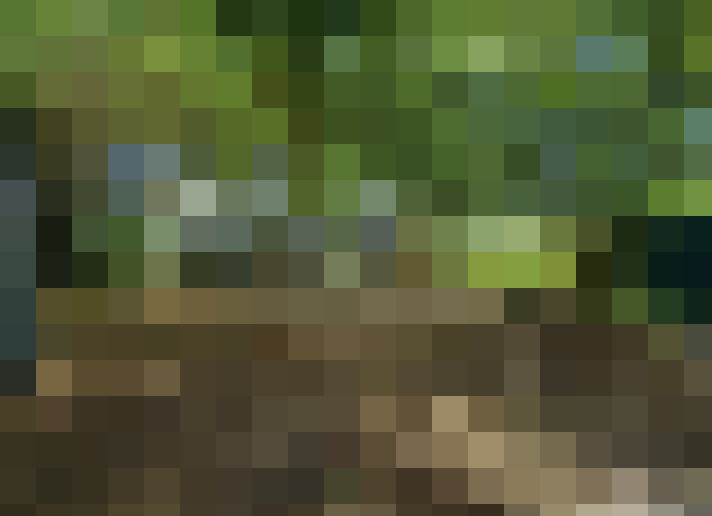  / #17