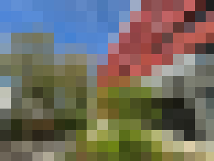  / #13