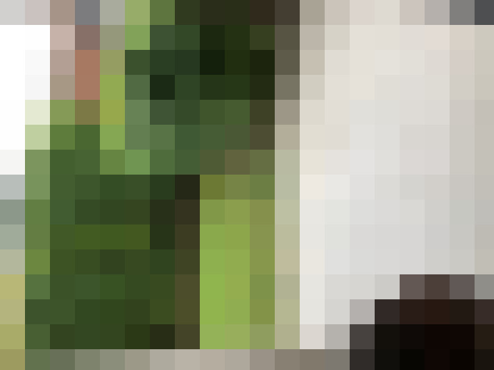  / #14