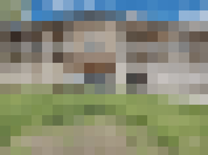  / #12
