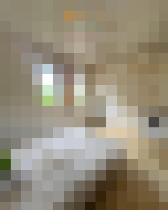  / #2