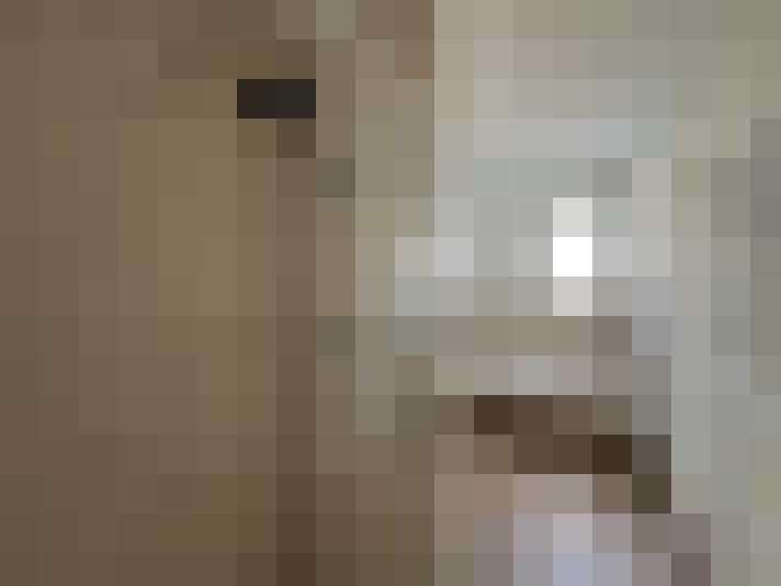  / #13