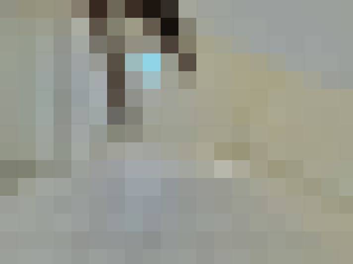  / #7
