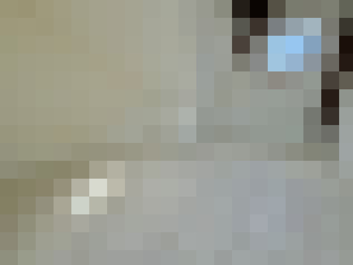  / #6