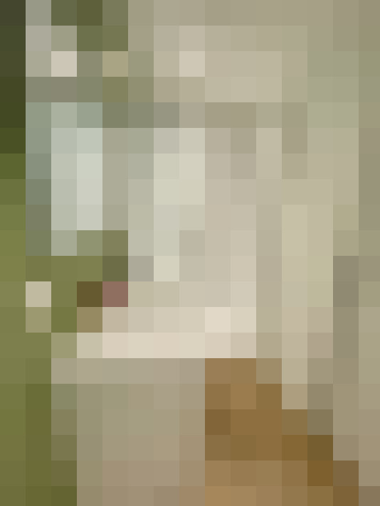  / #6