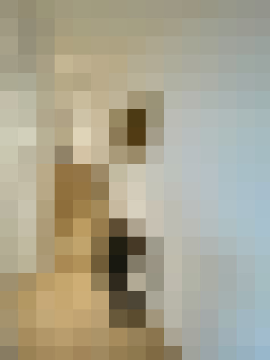  / #8
