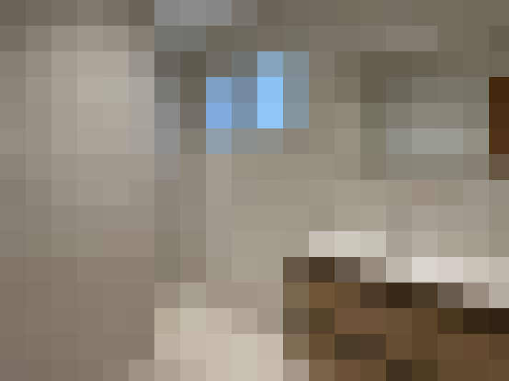  / #8