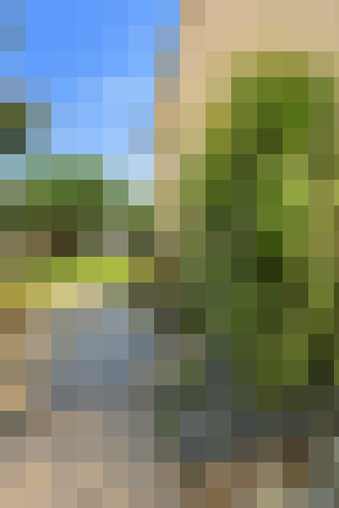  / #16