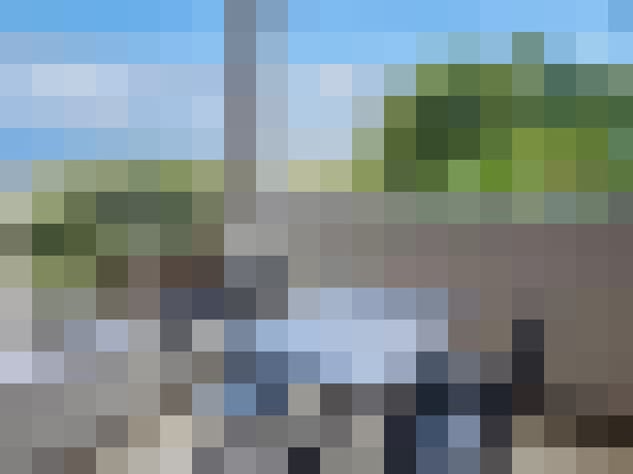  / #15