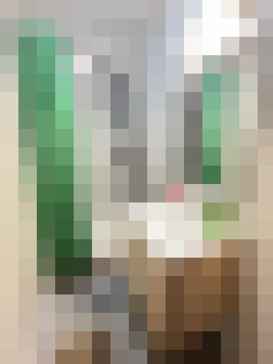  / #6