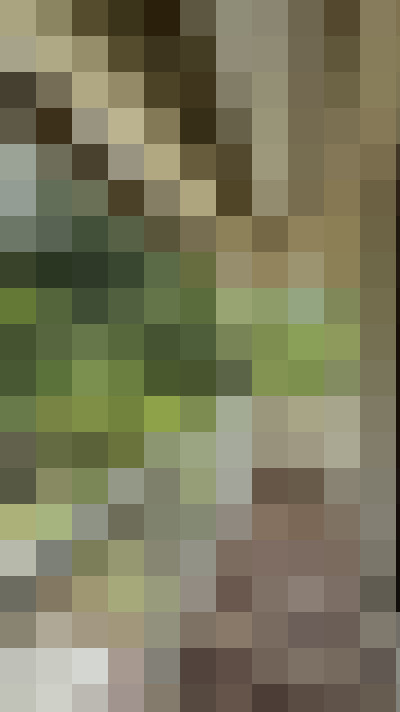  / #11