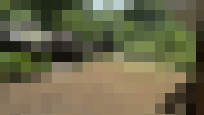  / #15