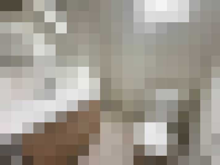  / #8