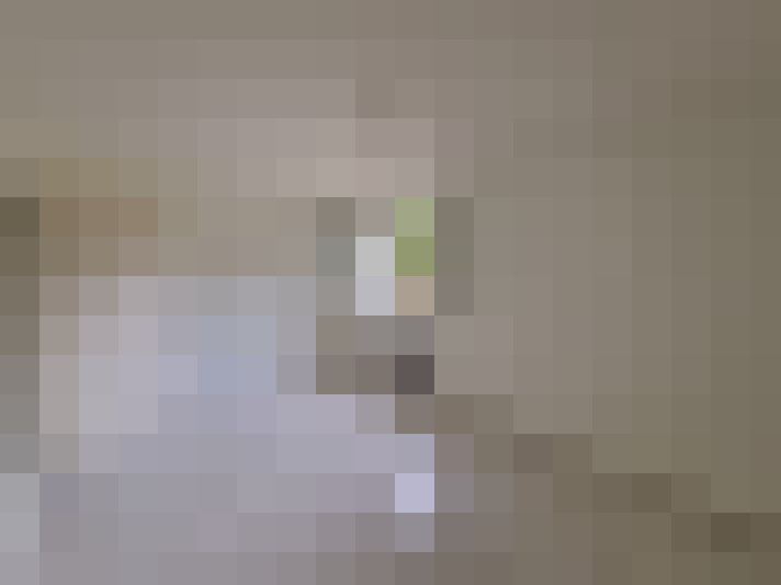  / #11
