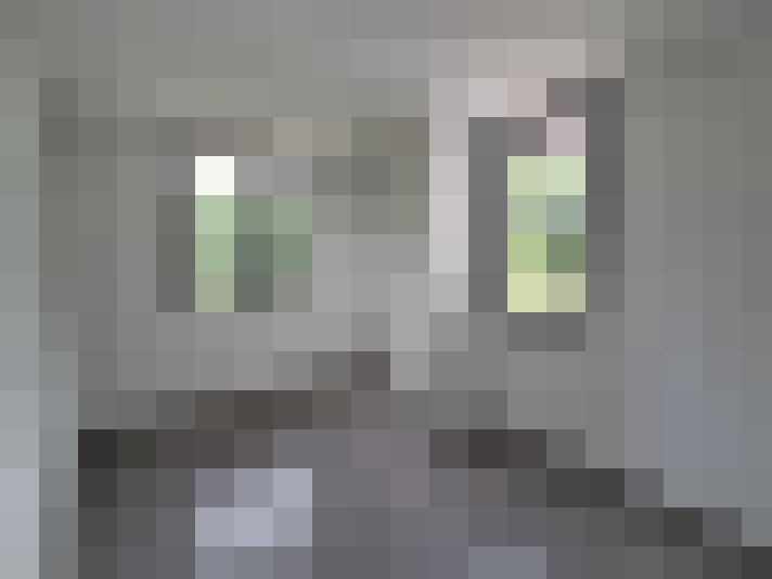  / #7